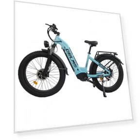 Electric Bike — Electric Self-Balancing Scooters, Orlms