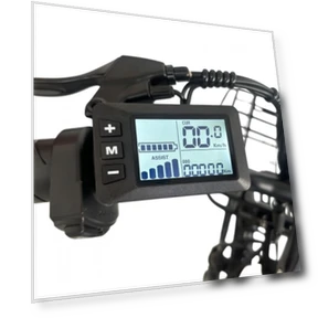 Electric Bike — Electric Self-Balancing Scooters, Orlms