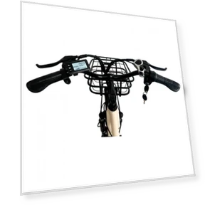 Electric Bike — Electric Self-Balancing Scooters, Orlms