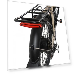 Electric Bike — Electric Self-Balancing Scooters, Orlms