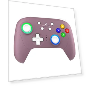 Game Controller — Gamepads & Standard Controllers, ANBERNIC