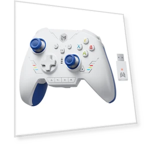 Rainbow 2 SE Game Controller — Motion Gaming Controllers, BIGBIG WON