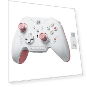 Rainbow 2 SE Game Controller — Hall Effect, BIGBIG WON