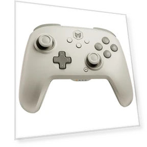 Wireless Game Controller — Gaming Controllers, BIGBIG WON