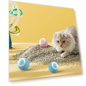 Interactive Cat Balls Set — Balls, YSXX
