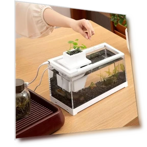 LED Illuminated Aquarium Fish Tank with Water Pump — Lights, Zhongqin