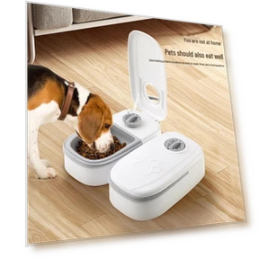 Smart Feeder for Cats and Dogs with Dual Meal — Automatic Feeders, WoW Home
