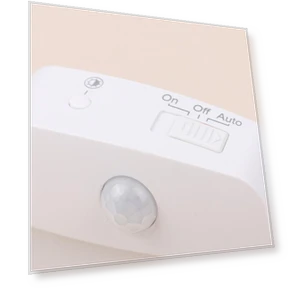Motion Sensor Night Light — Night Lights, For Season