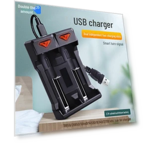 Dual Slot USB Charger for Lithium Batteries — Chargers, Doublepow Battery
