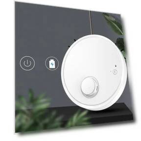 Slim Robot Cleaner — Smart Cleaning Robots, Holland Ham