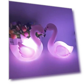 Touch Sensor Night Light — Night Lights, dooob
