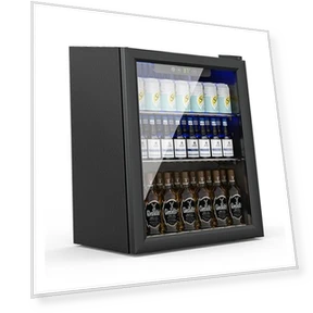 Compact Beverage Refrigerator — Mini Fridges, Erivess