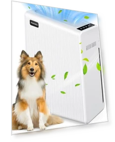 Large Room Air Purifier — Activated Carbon Air Purifiers, Mooka Family
