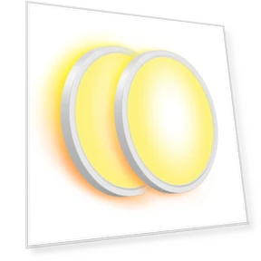 Smart Ceiling Light — Overhead Lighting, Govee