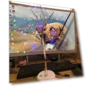 Touch screen LED tree light — Overhead Lighting