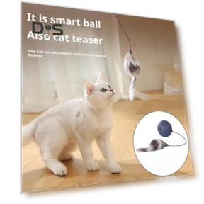 Automatic Cat Toy with Rolling Ball — Cat Playthings, Kitty Cat House