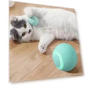 Funny Pet Toys Exercise Chase Electric Ball — Cat Playthings, Sock