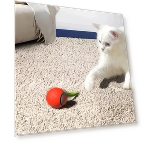 Interactive Cat Toy Rolling Ball — Balls, All in Watch