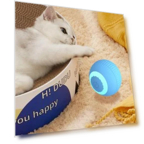 Interactive Smart Cat Ball — Cat Playthings, Dopamine Home