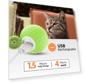 Smart Pet Cat Toy Ball Luminous Yo-Yo — Cat Playthings