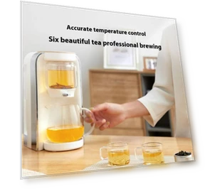Two-in-one Smart Instant Hot Tea Machine — Kettles & Tea Machines, Youpin