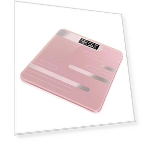 Smart Bathroom Scale — Weight Management Tools, Factory Discount Outlet