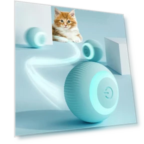 Electronic Interactive Cat Ball — Balls, YDM Beauty Life