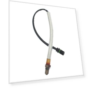 Oxygen sensor — Check Engine, FST UNITED GROUP