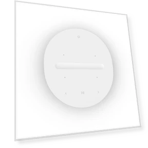 Wireless Smart Speaker — Built-In Audio Solutions, Sonos