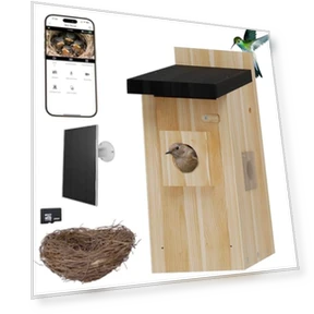Smart Bird House with Camera — Outdoor & Wildlife Cameras, Hiyiton