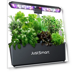 Hydroponic Plant Growing Kit with LED Lights — Drip Kits, SAMURAI STYLE