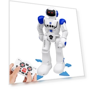Intelligent Programmable Gesture Control Robot — Interactive Figures & Robots, MIYAKO