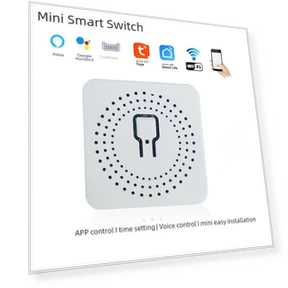 Smart Switch with Voice Control — Smart Home Hubs & Controllers, TopSky