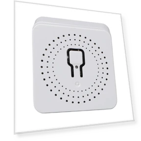 Smart WiFi RF433 Switch — Outlet Switches, OutsideWorld