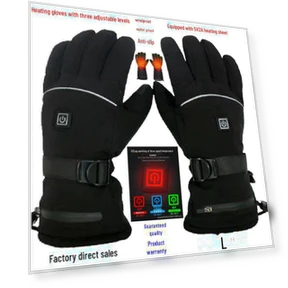 Winter Heated Ski Gloves — Gloves, SwiftNex