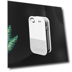 Smart Touch Air Purifier and Deodorizer for Pet Toilets — Activated Carbon Air Purifiers, Pets Land