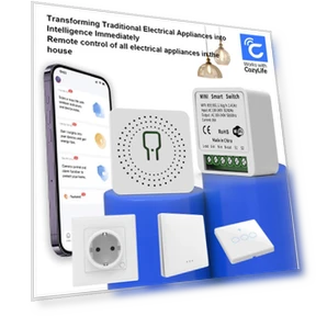 WiFi Smart Mini Switch — Smart Home Modules, CozyLife