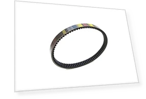Live Dio ZX Smart DIO Giorno Claire Drive Belt — Belts, SAMURAI STYLE