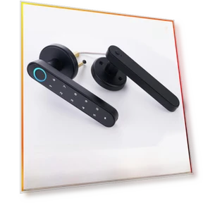 Smart Spherical Password Lock — Smart Home Security, StrideBox