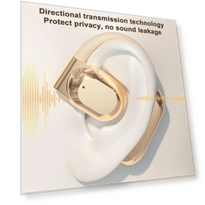 Wireless Earbuds — In-Ear Headphones, caicaichen