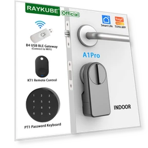Smart Lock — Smart Home Security, RAYKUBE
