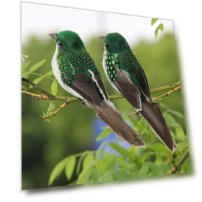 Feather Bird Simulation Garden Decoration — Garden Stakes, Cozy Cottage-Relax