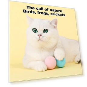 Interactive Plush Electric Ball with Catnip — Balls, Pansyf