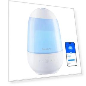 Smart Cool Mist Air Humidifier — Air Moisturizers, GoveeLife
