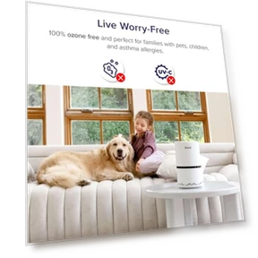 Air Purifier — HEPA Air Purifiers, LEVOIT