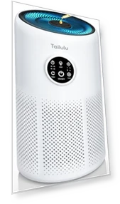 HEPA Air Purifier for Large Rooms — Activated Carbon Air Purifiers, Tailulu