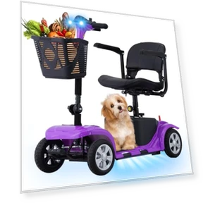 Mobility Scooter for Adults — Electric Self-Balancing Scooters, SUNDERWELL
