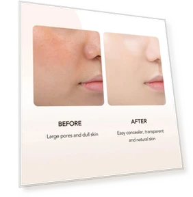 Mushroom Head Air Cushion BB Cream Foundation — Blush, O'CHEAL