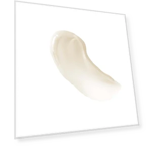 Triple Age Repair Night Cream — Nighttime Moisturizers, Neutrogena
