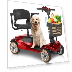 4-Wheel Mobility Scooter — Electric Self-Balancing Scooters, Mobicyc